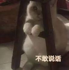 IM体育App官网下载,E句话 维护贾乃亮的甜馨好霸气