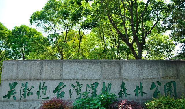 IM体育,上海唯一湿地森林公园三江交汇的黄金水道更有三夹水壮丽奇观