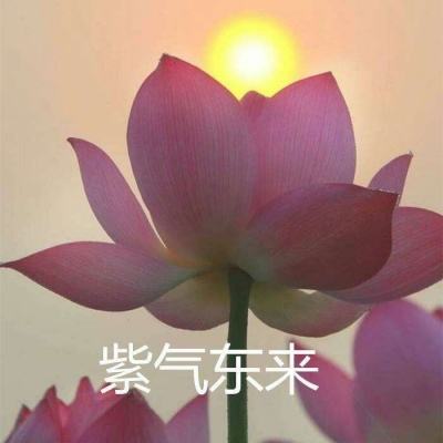 IM体育官网,香港最准买马网站